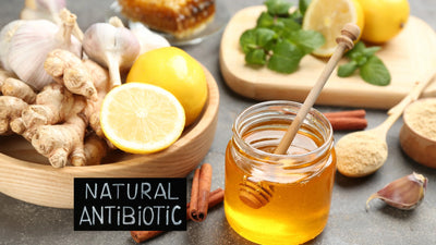 Natürliches Antibiotikum, Natürliche Antibiotika, Natürliche Alternative zu Antibiotika, Antibiotika natürlich