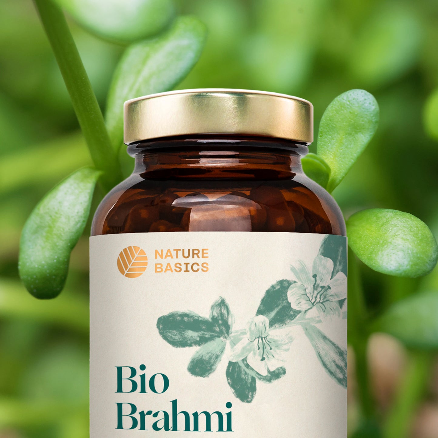 Aktion! Bio Brahmi Kapseln kostenfreies Zusatzprodukt*