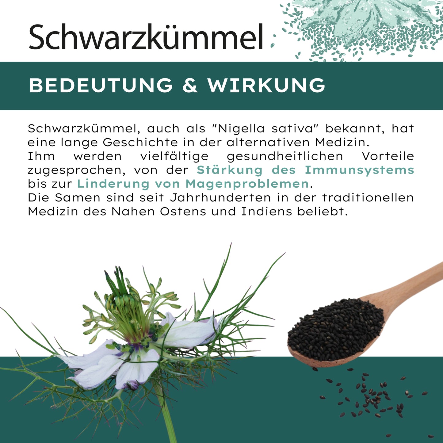 Schwarzkümmelöl Kapseln