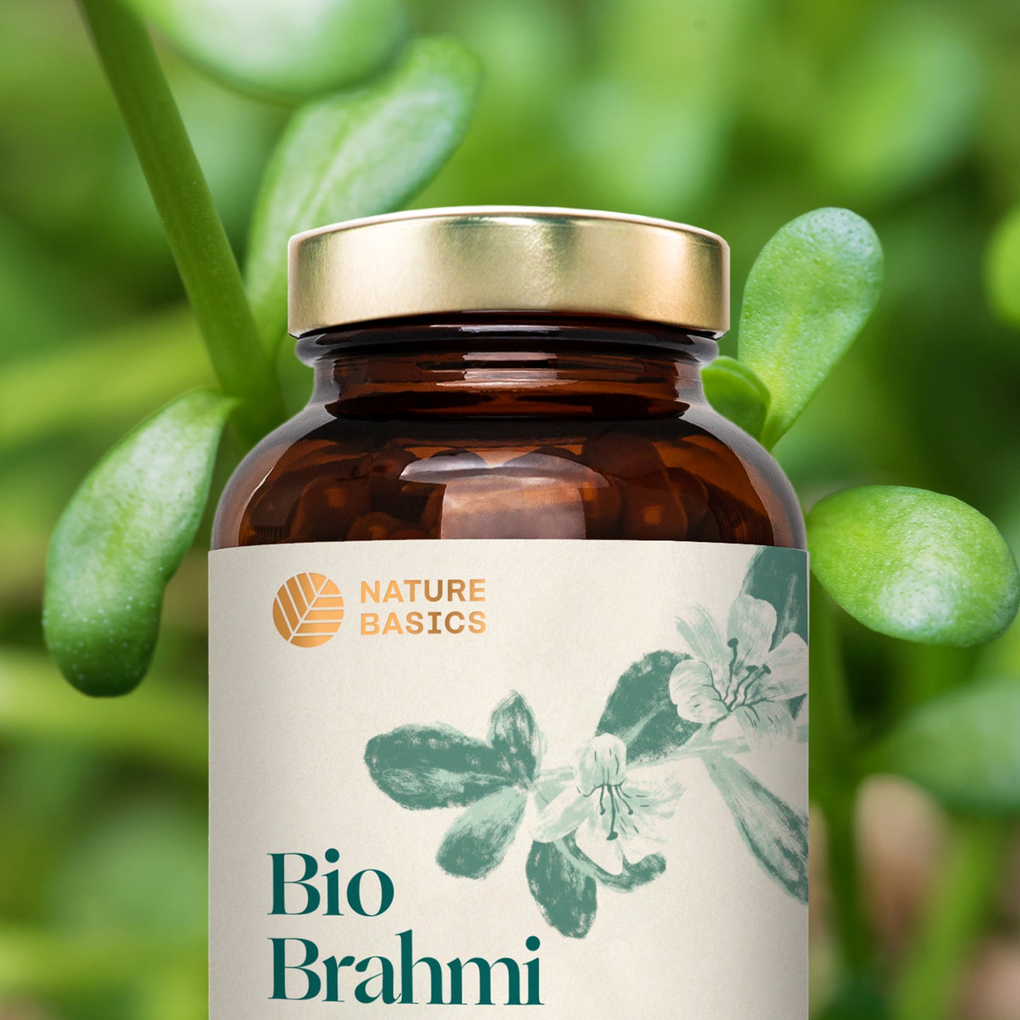 Aktion! Bio Brahmi Kapseln kostenfreies Zusatzprodukt*